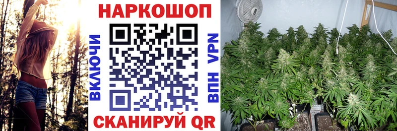 Что такое Тутаев Конопля  Alpha-PVP  ГАШ  Мефедрон 