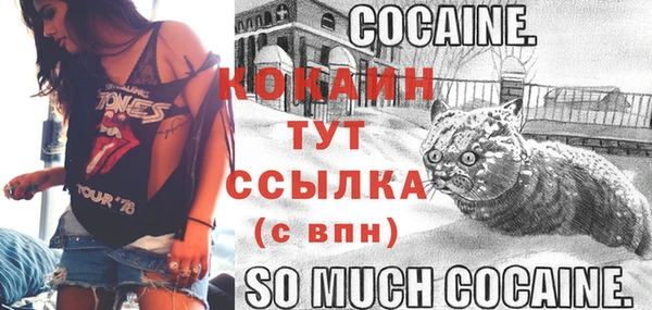 COCAINE Алексеевка
