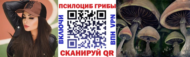 Псилоцибиновые грибы ЛСД  Тутаев 